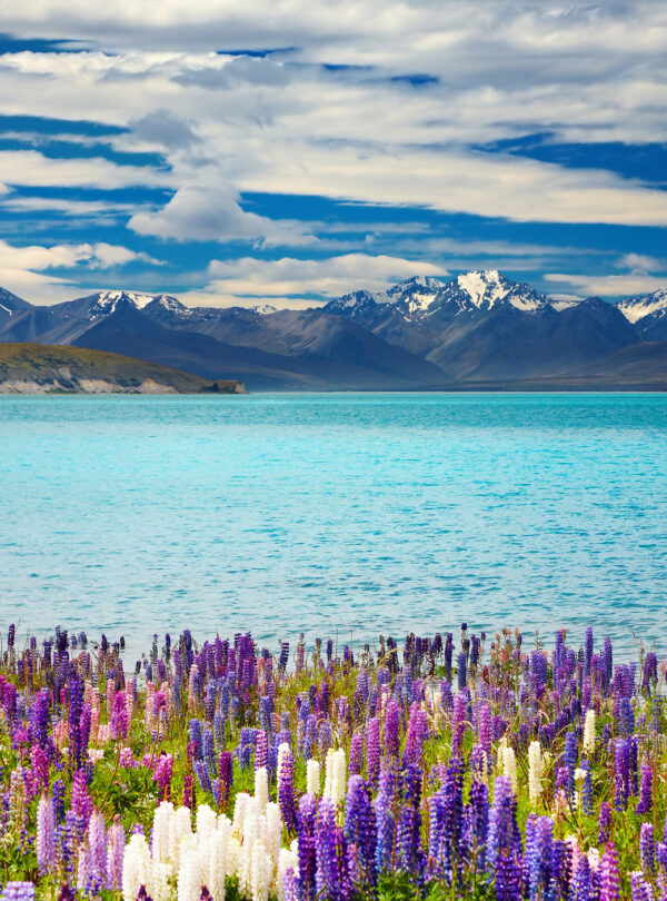 Lake Tekapo, New Zealand