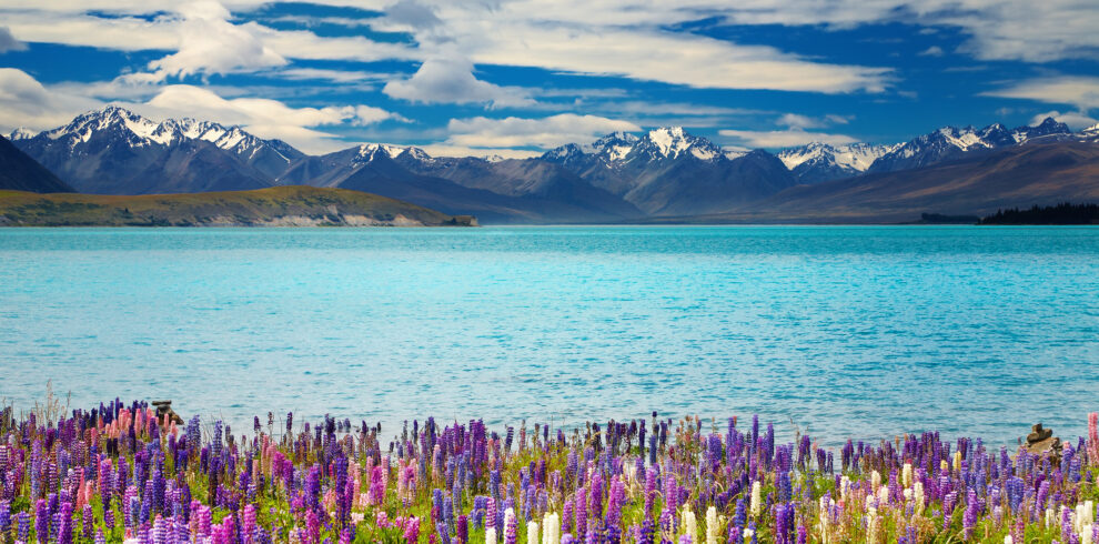 Lake Tekapo, New Zealand