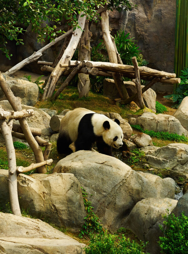 c3lJLCts6pZa9fkC-YtMAnE1EiPrXg1Zl-lD_N-T0BTn47PL4iyeW_fCTpszJ4yo-TOI6cFpWLjB482-eNg-lCMZ0LRCbAWEwJHz6S3X3p0