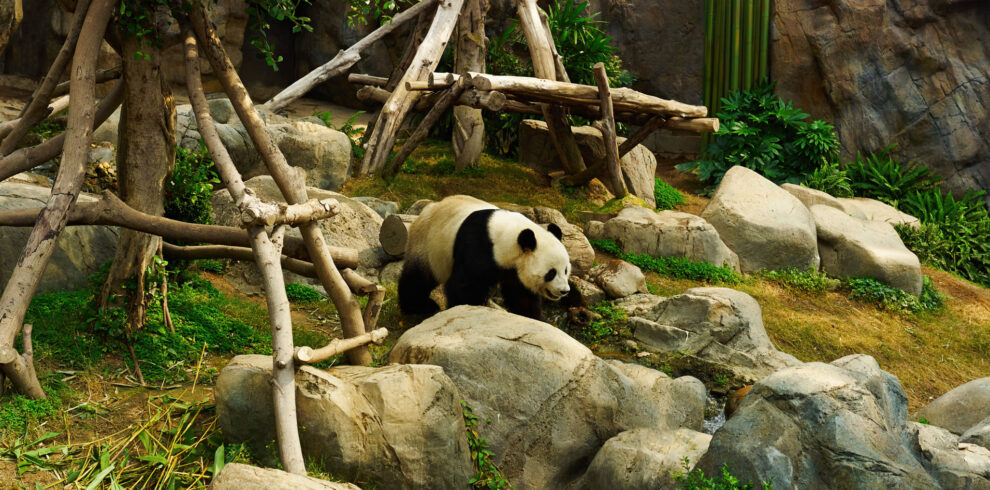 c3lJLCts6pZa9fkC-YtMAnE1EiPrXg1Zl-lD_N-T0BTn47PL4iyeW_fCTpszJ4yo-TOI6cFpWLjB482-eNg-lCMZ0LRCbAWEwJHz6S3X3p0