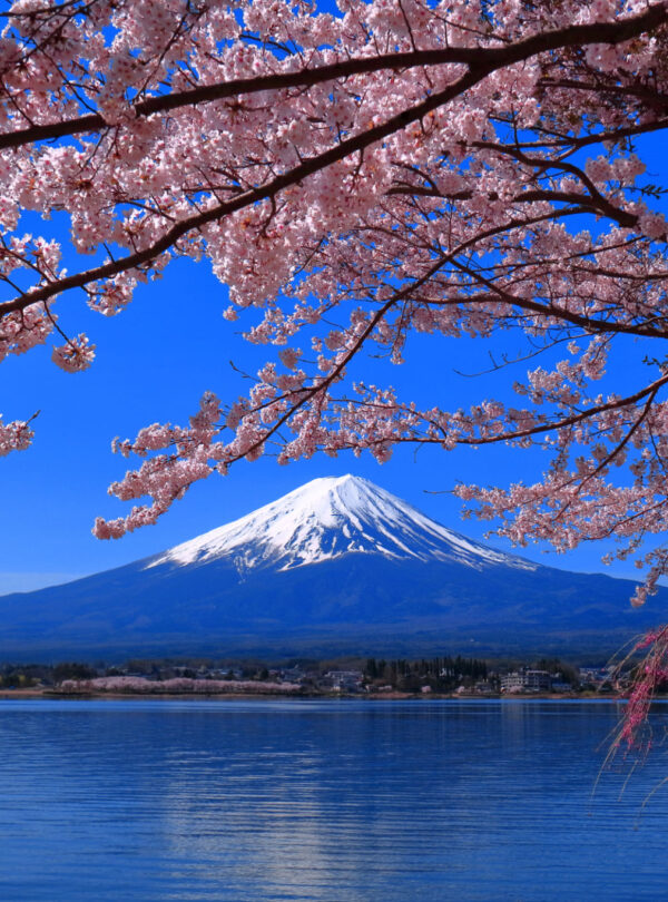 tqjk_1R-EjXgc8h5E_0zfp1HPmp-76jBgY1lLulKl0rWqtlXFTkulpNOnde6fpg2bIGDbaMj2AAPzzQQqYkJP2sVTq7PoQ254YgyeX7BXdQ