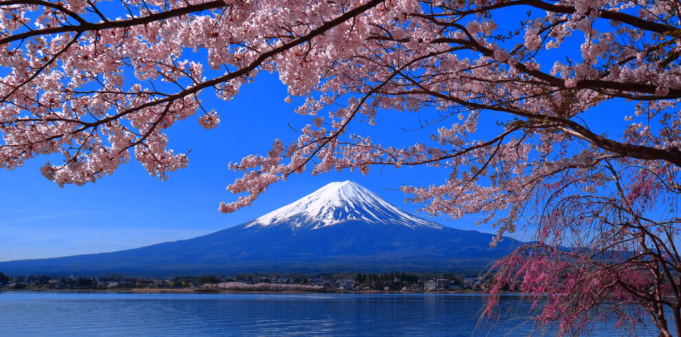 tqjk_1R-EjXgc8h5E_0zfp1HPmp-76jBgY1lLulKl0rWqtlXFTkulpNOnde6fpg2bIGDbaMj2AAPzzQQqYkJP2sVTq7PoQ254YgyeX7BXdQ