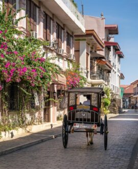 Cultural & Heritage Tours