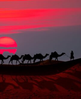 Desert Safari Adventure